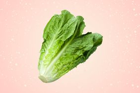 a photo of a head of romaine lettuce