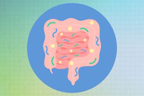 an illustration of a gut with bacteria